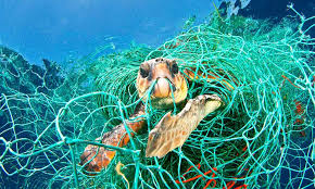 WWF Living Planet Report 2018